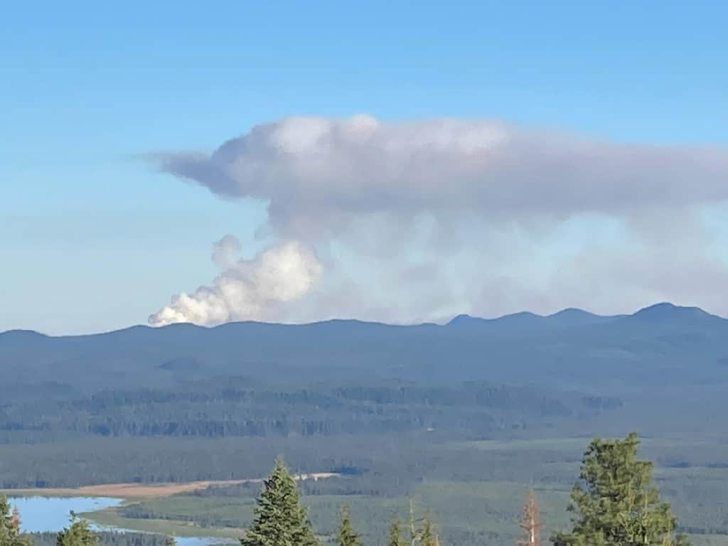 Large smoke column in a blue sky within a forested landscape.