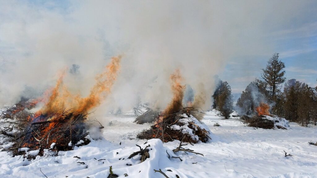 Rain and snow keep fire from moving beyond the piles.