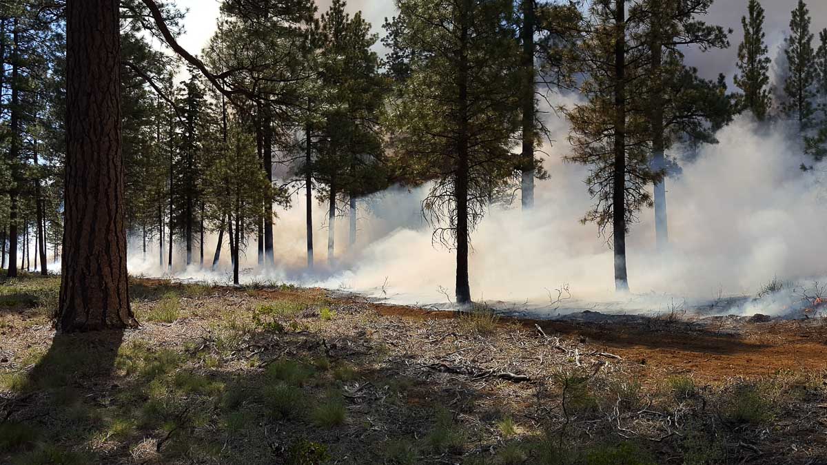 Prescribed or controlled burns are different from wildfires in terms of the duration and intensity of smoke.