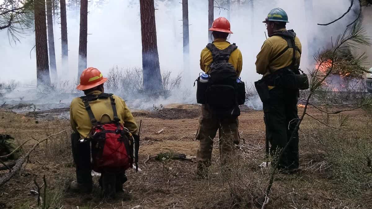 A prescribed fire or controlled burn is planned and closely monitored by a team of experts.