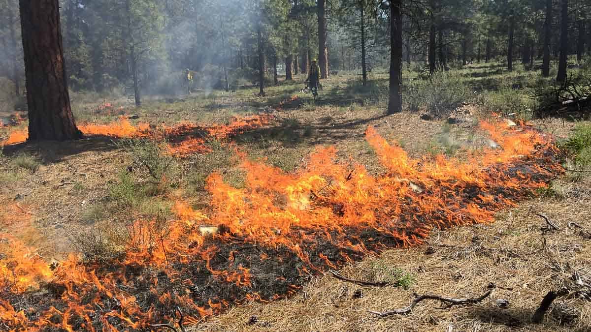 Prescribed burns are announced in regular fire updates and the 
Central Oregon Fire blog.