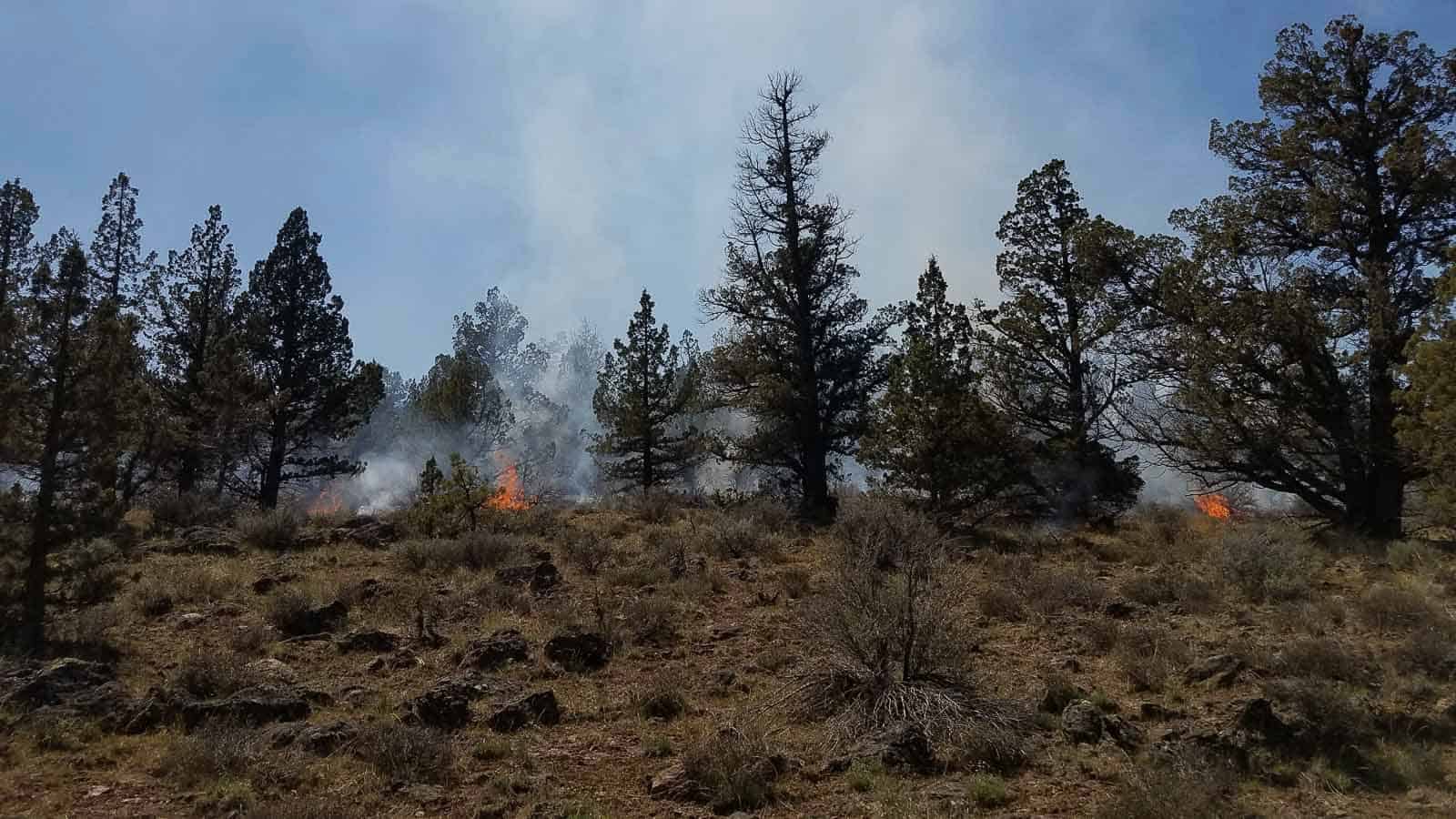 Fire Restrictions Central Oregon Fire Information