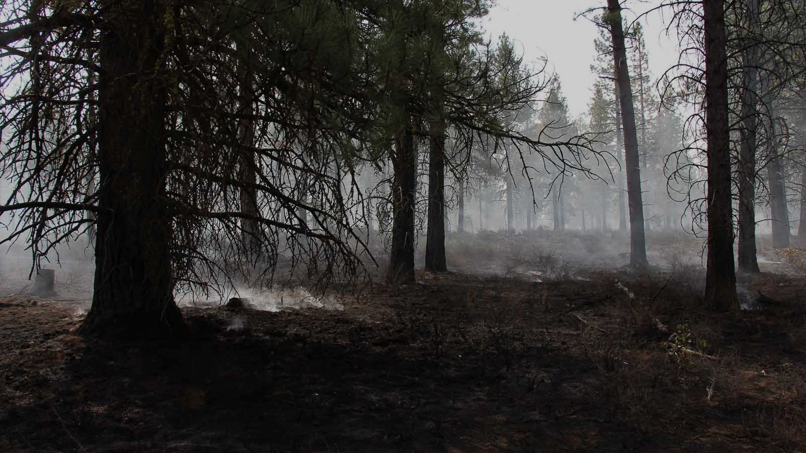 Central Oregon Interagency Dispatch Update July 5 Central Oregon   Central Oregon Smoke Fire Info 18 