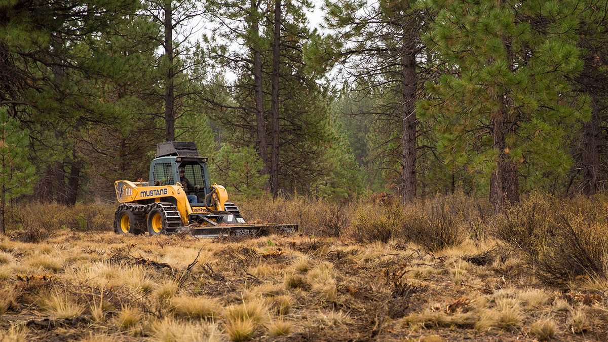 The flammable brush is reduced by a mower or masticator to create a more accurate landscape to the historical condition. These forests can support low-intensity fire which ultimately produces less smoke.