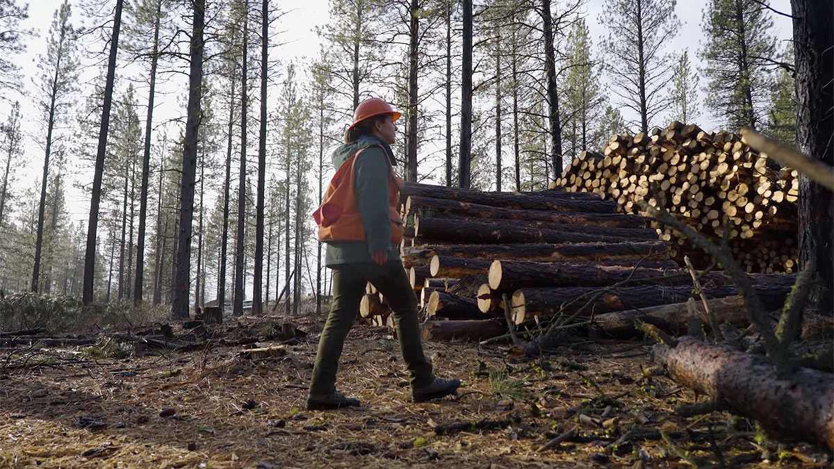 By reducing the number of trees on the landscape through timber removal, we have greater control over the fire behavior and the smoke production from prescribed burns.